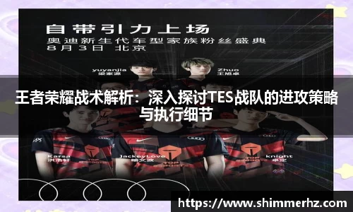 王者荣耀战术解析：深入探讨TES战队的进攻策略与执行细节