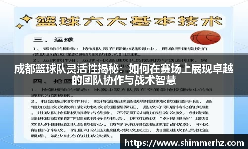 成都篮球队灵活性揭秘：如何在赛场上展现卓越的团队协作与战术智慧