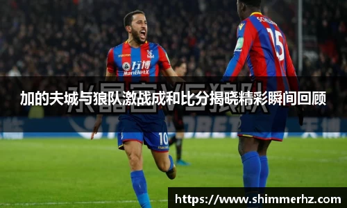 加的夫城与狼队激战成和比分揭晓精彩瞬间回顾